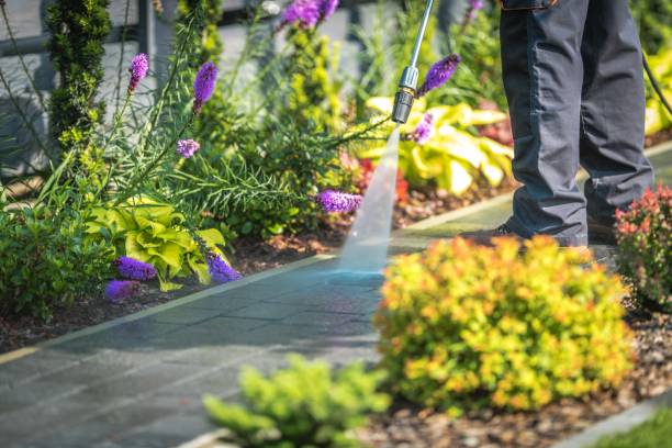 Trusted Mount Holly, NC Pressure Washing Services Experts