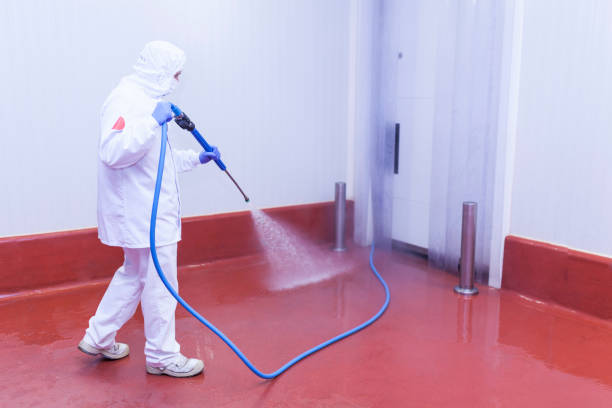 Best Residential Pressure Washing in Mount Holly, NC
